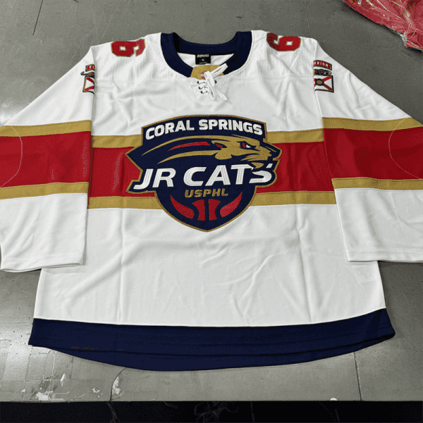 Wholesale Embroidered Ice Hockey Jerseys Shirts Hot Selling Sports Uniforms5