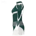 Custom Cheer Outfit Costume - All-Star Cheerleading Uniform